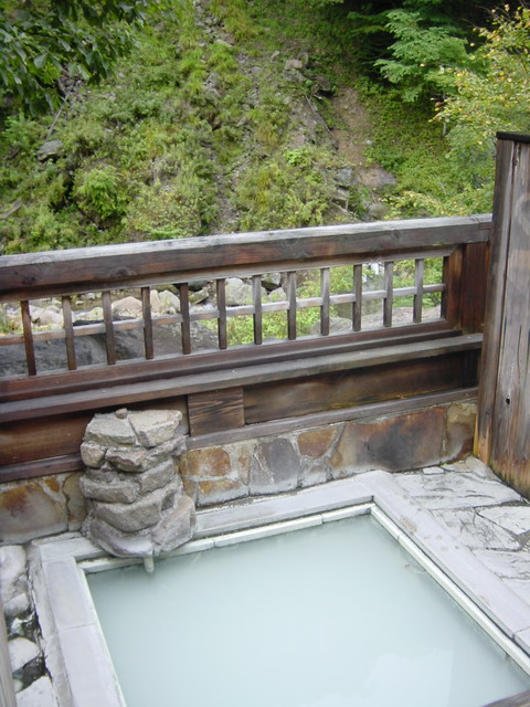 Kani yu