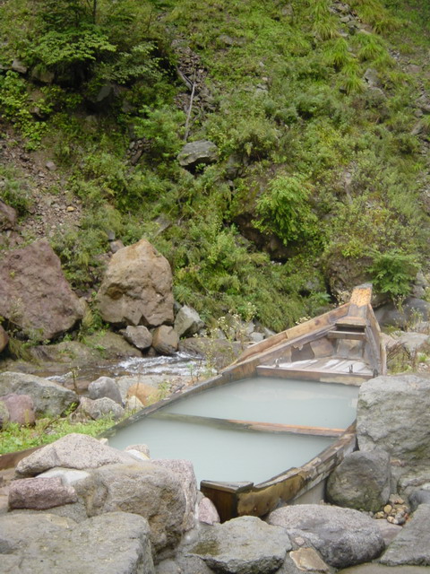 Kani yu
